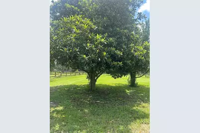 10661 W Highway 40, Ocala, FL 34482 - Photo 18