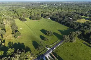 22510 NE 130th Court Rd, Fort Mc Coy, FL 32134 - Photo 2