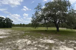 13351 SE 101st Pl, Dunnellon, FL 34431 - Photo 34