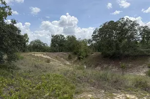 13351 SE 101st Pl, Dunnellon, FL 34431 - Photo 32