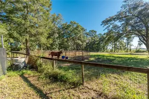 8081 SW 41 Pl Rd, Ocala, FL 34481 - Photo 18