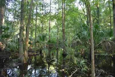 Middle Road, Hilliard, FL 32046 - Photo 24