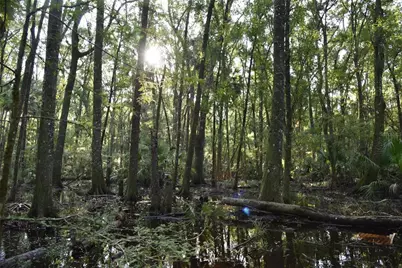 Middle Road, Hilliard, FL 32046 - Photo 26