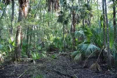Middle Road, Hilliard, FL 32046 - Photo 12