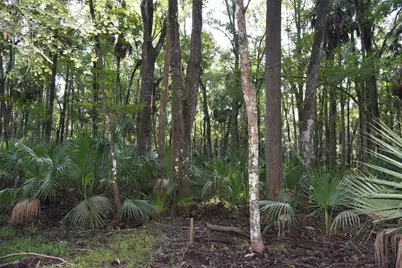 Middle Road, Hilliard, FL 32046 - Photo 20