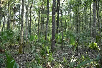 Middle Road, Hilliard, FL 32046 - Photo 16