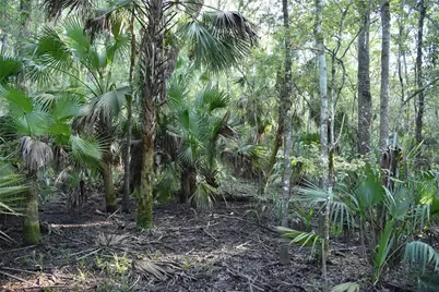 Middle Road, Hilliard, FL 32046 - Photo 10