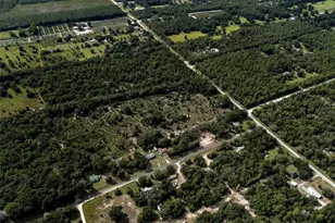 5865 NE 137th Terrace, Williston, FL 32696 - Photo 78