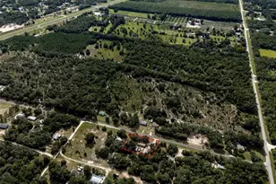 5865 NE 137th Terrace, Williston, FL 32696 - Photo 54