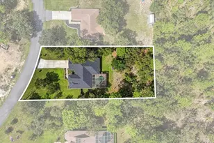 13087 Painted Bunting Ave, Weeki Wachee, FL 34614 - Photo 2