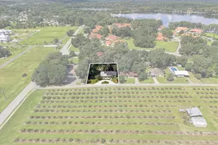 505 Hickory Rd, Inverness, FL 34450 - Photo 44