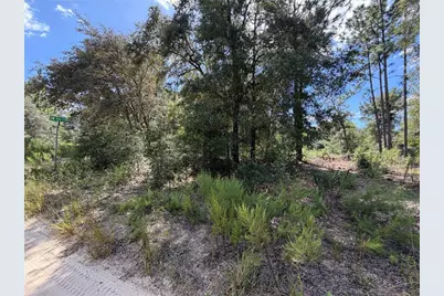 00 Corner Of SW 152nd Ct & 18th Place, Ocala, FL 34481 - Photo 4