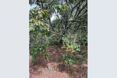 1830 W Stanton Drive, Dunnellon, FL 34434 - Photo 6