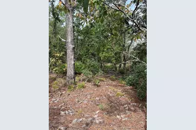 1830 W Stanton Drive, Dunnellon, FL 34434 - Photo 8