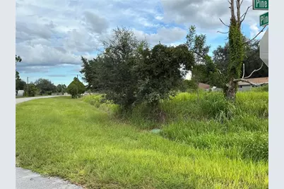 Pine Course Run, Ocala, FL 34472 - Photo 6