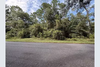 Tbd SW 57th Place, Dunnellon, FL 34431 - Photo 2