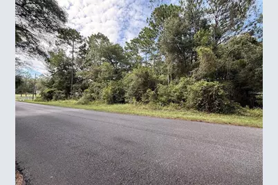 Tbd SW 57th Place, Dunnellon, FL 34431 - Photo 4