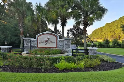 800 SW 144th Court Road, Ocala, FL 34481 - Photo 66