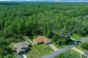 2676 W Gifford Ln, Citrus Springs, FL 34433 - Photo 38
