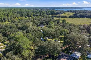 20911 NE 142nd Pl, Salt Springs, FL 32134 - Photo 34