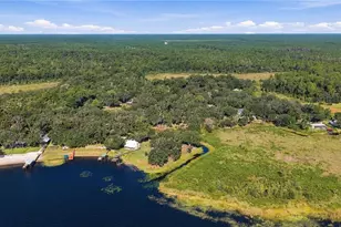 20911 NE 142nd Pl, Salt Springs, FL 32134 - Photo 38