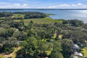 20911 NE 142nd Pl, Salt Springs, FL 32134 - Photo 36