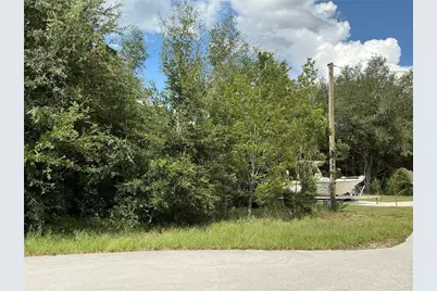 Dogwood Trail Run, Ocala, FL 34472 - Photo 4