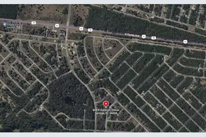 608 E Irene Lane, Citrus Springs, FL 34434 - Photo 6