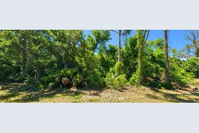 Dragon Street, North Port, FL 34288 - Photo 2