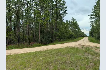 Sw Tbd SW 125th Court Road, Ocala, FL 34481 - Photo 2