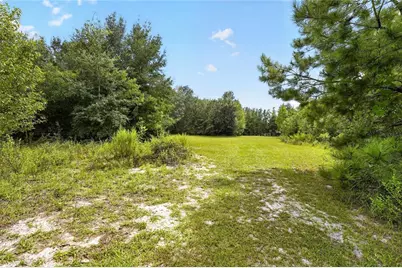 18875 NW Hwy 335, Williston, FL 32696 - Photo 66