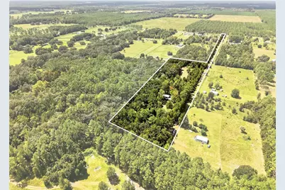 18875 NW Hwy 335, Williston, FL 32696 - Photo 2