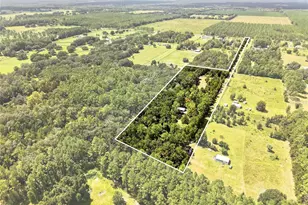 18875 NW Hwy 335, Williston, FL 32696 - Photo 2