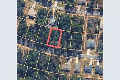 7358 N Veronica Drive, Citrus Springs, FL 34433 - Photo 2