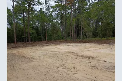 16327 SW 24th Place, Ocala, FL 34481 - Photo 2
