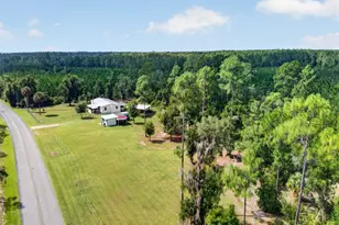18748 NE 148th Terrace Rd, Fort Mc Coy, FL 32134 - Photo 46