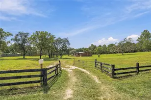 6224 W Amman St, Dunnellon, FL 34433 - Photo 2