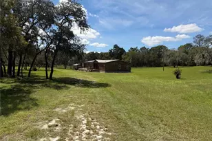 6224 W Amman St, Dunnellon, FL 34433 - Photo 4