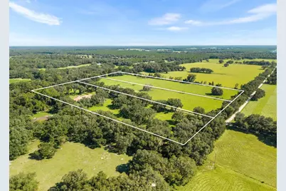 553 NE 205th Avenue, Williston, FL 32696 - Photo 6