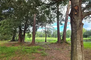1709 SE 169th Terrace Rd, Silver Springs, FL 34488 - Photo 2