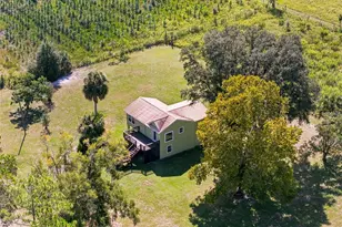 3551 NW 50 Ave, Chiefland, FL 32626 - Photo 36