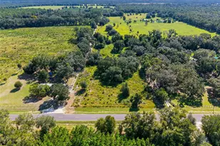 3551 NW 50 Ave, Chiefland, FL 32626 - Photo 38