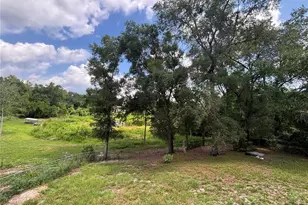 18225 SE 22nd Pl, Silver Springs, FL 34488 - Photo 20