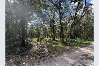 0 NE 37th Street, Silver Springs, FL 34488 - Photo 10