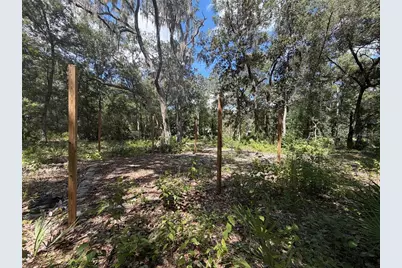 0 NE 37th Street, Silver Springs, FL 34488 - Photo 1