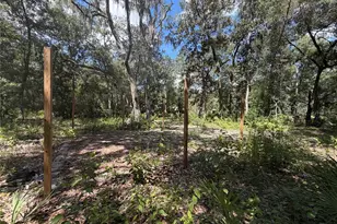 0 NE 37th St, Silver Springs, FL 34488 - Photo 1