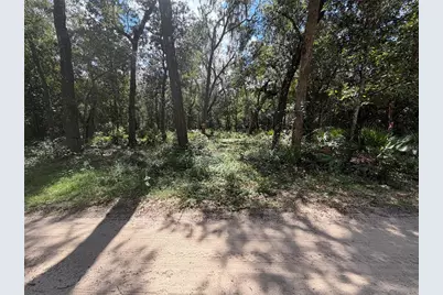 0 NE 37th Street, Silver Springs, FL 34488 - Photo 8