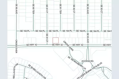 0 SE Hwy 42, Summerfield, FL 34491 - Photo 2