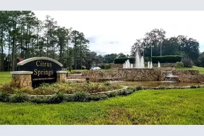 8511 N Boone Way, Citrus Springs, FL 34433 - Photo 6