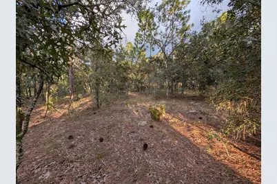 Nw Buena Vista Road, Dunnellon, FL 34431 - Photo 8
